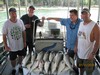 (07/11/2018) - Nice Striped Bass